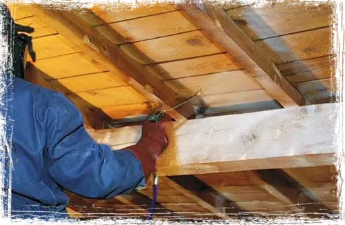 Traitement termites toiture Barbezieux-Saint-Hilaire 16300 Charente